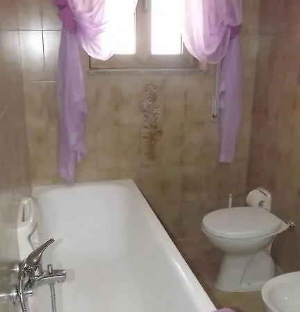 Delfinia 4*